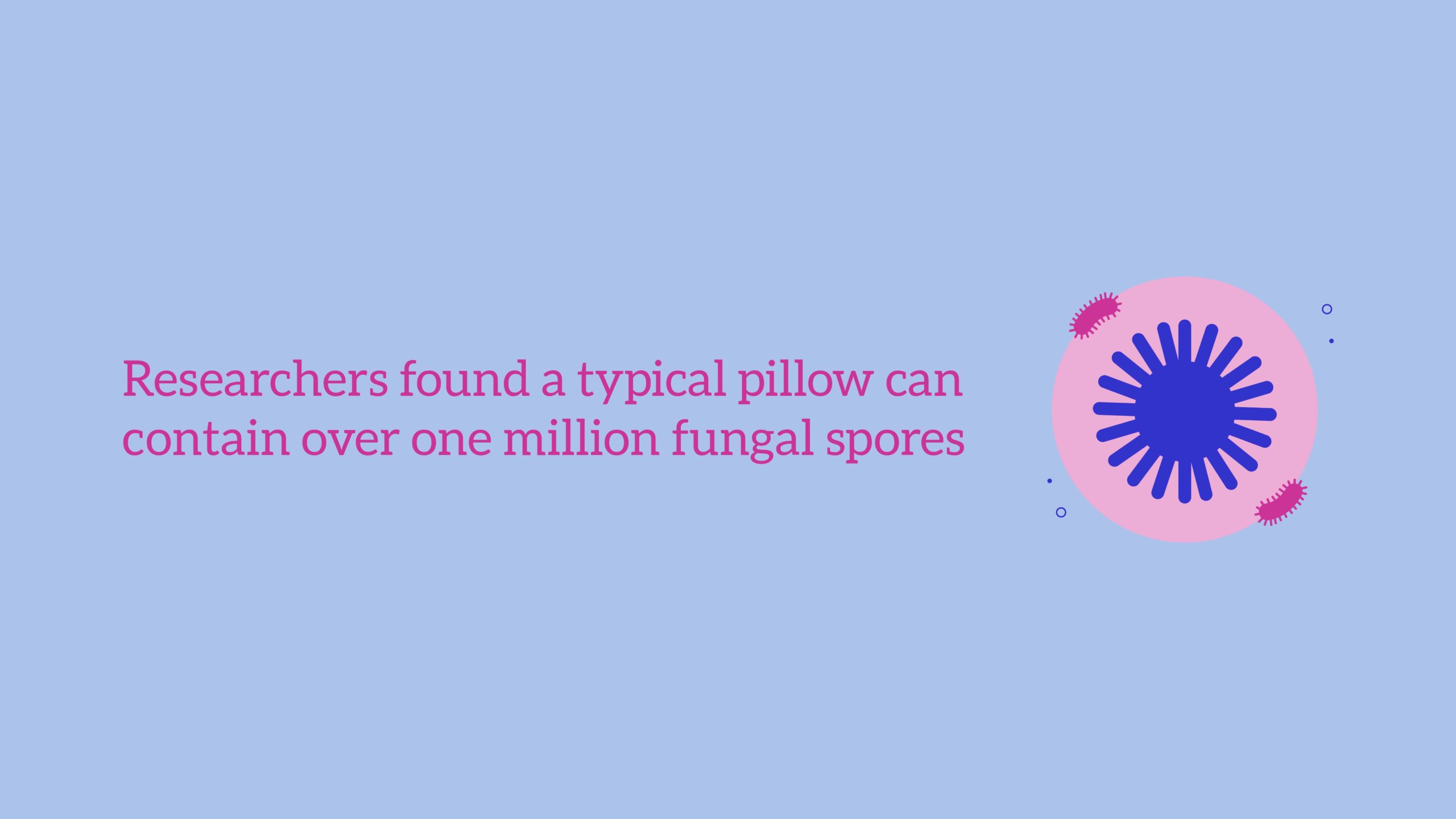 How Often to Replace Every Type of Pillow