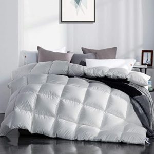 Snowman White Goose Down Comforter